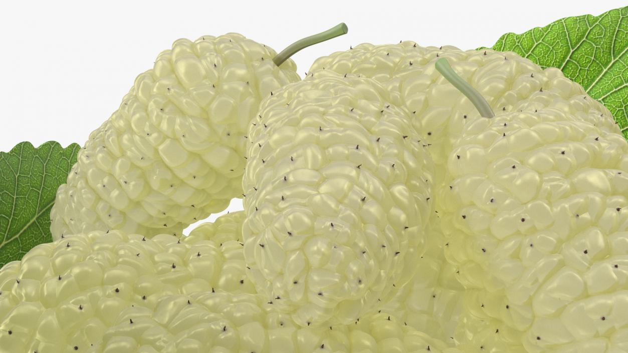 3D model Pile of Mulberry Fruit White 2