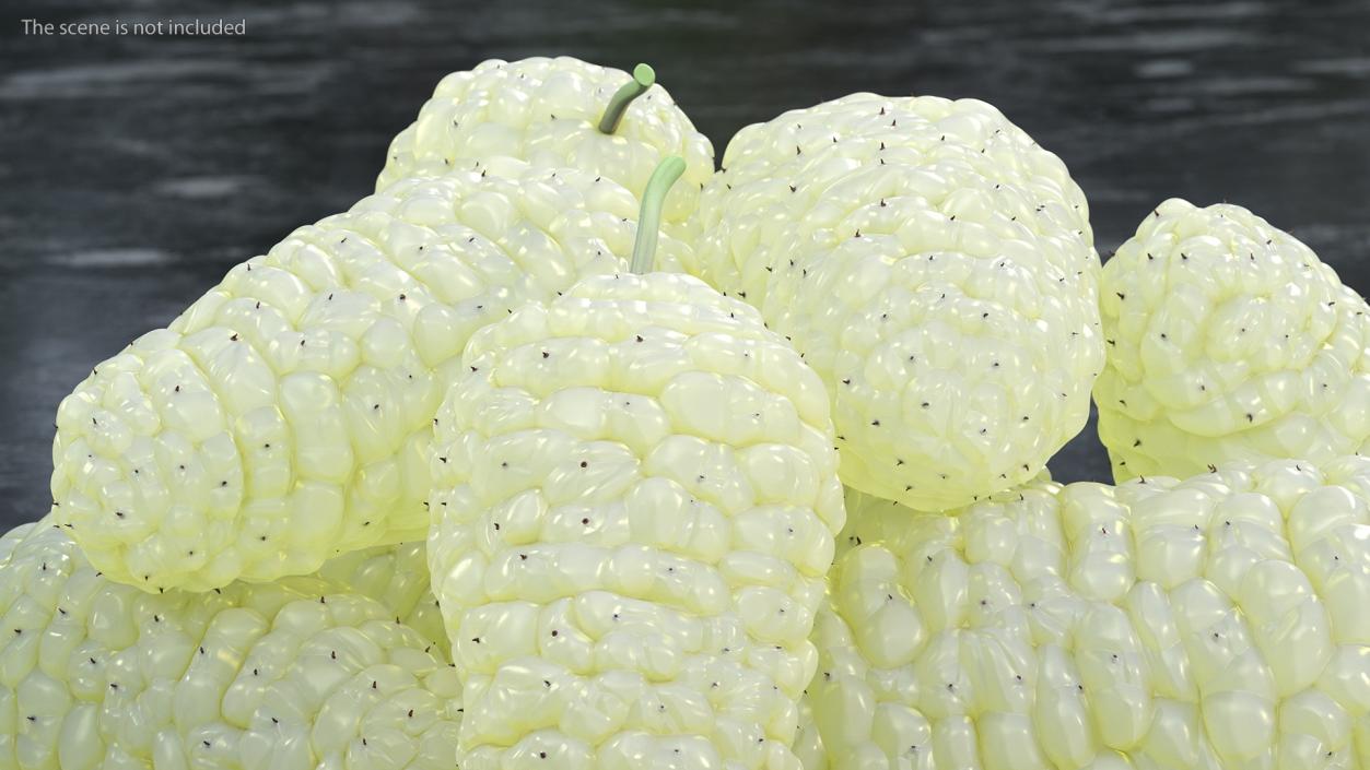 3D model Pile of Mulberry Fruit White 2