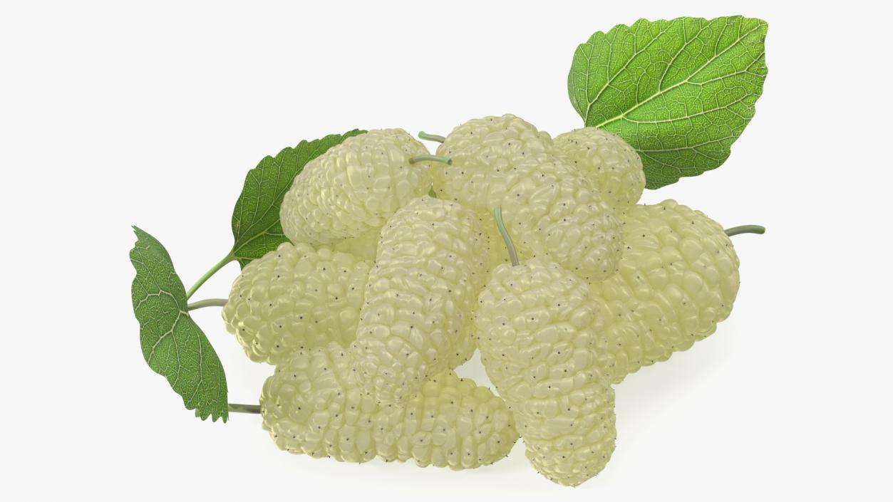 3D model Pile of Mulberry Fruit White 2