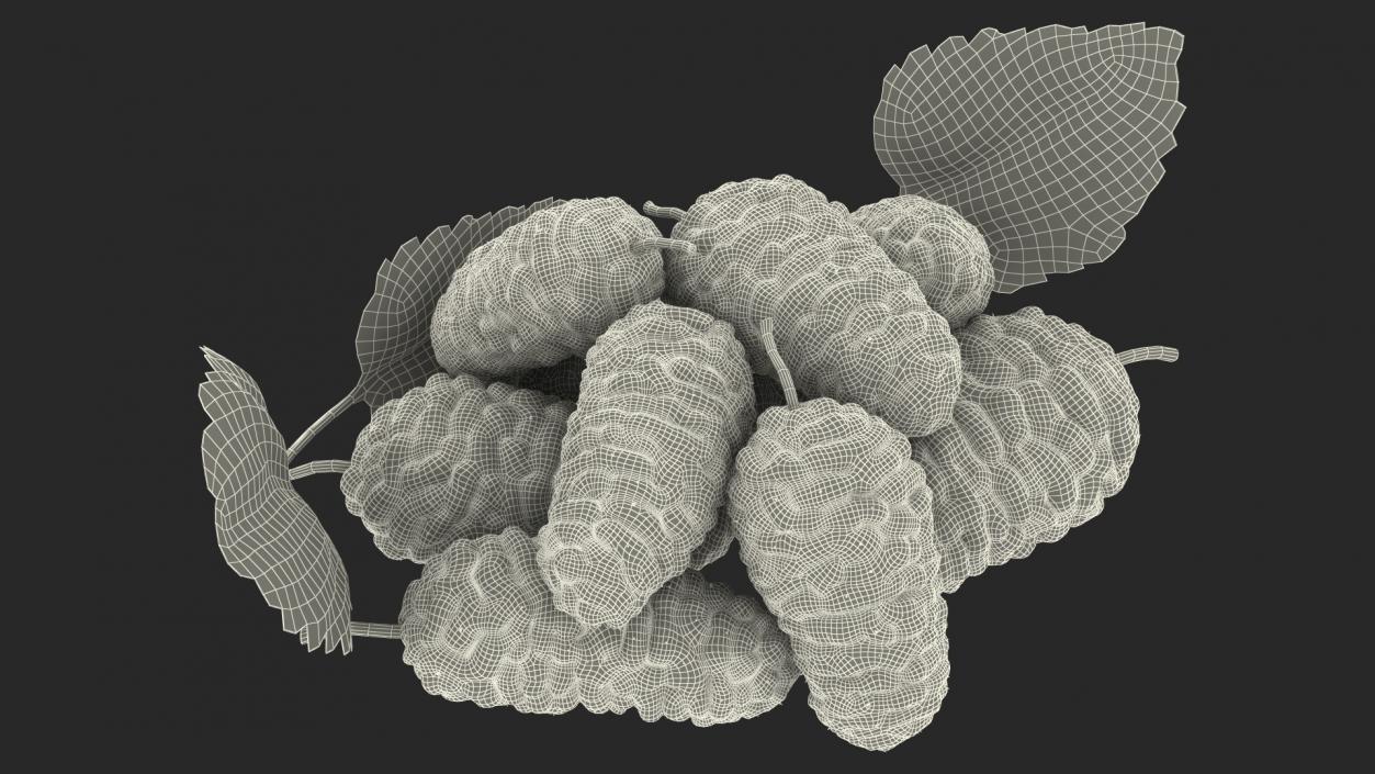 3D model Pile of Mulberry Fruit White 2