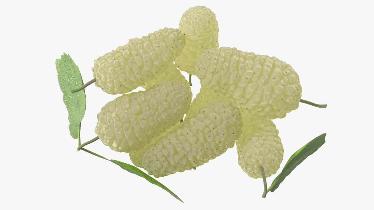 3D model Pile of Mulberry Fruit White 2