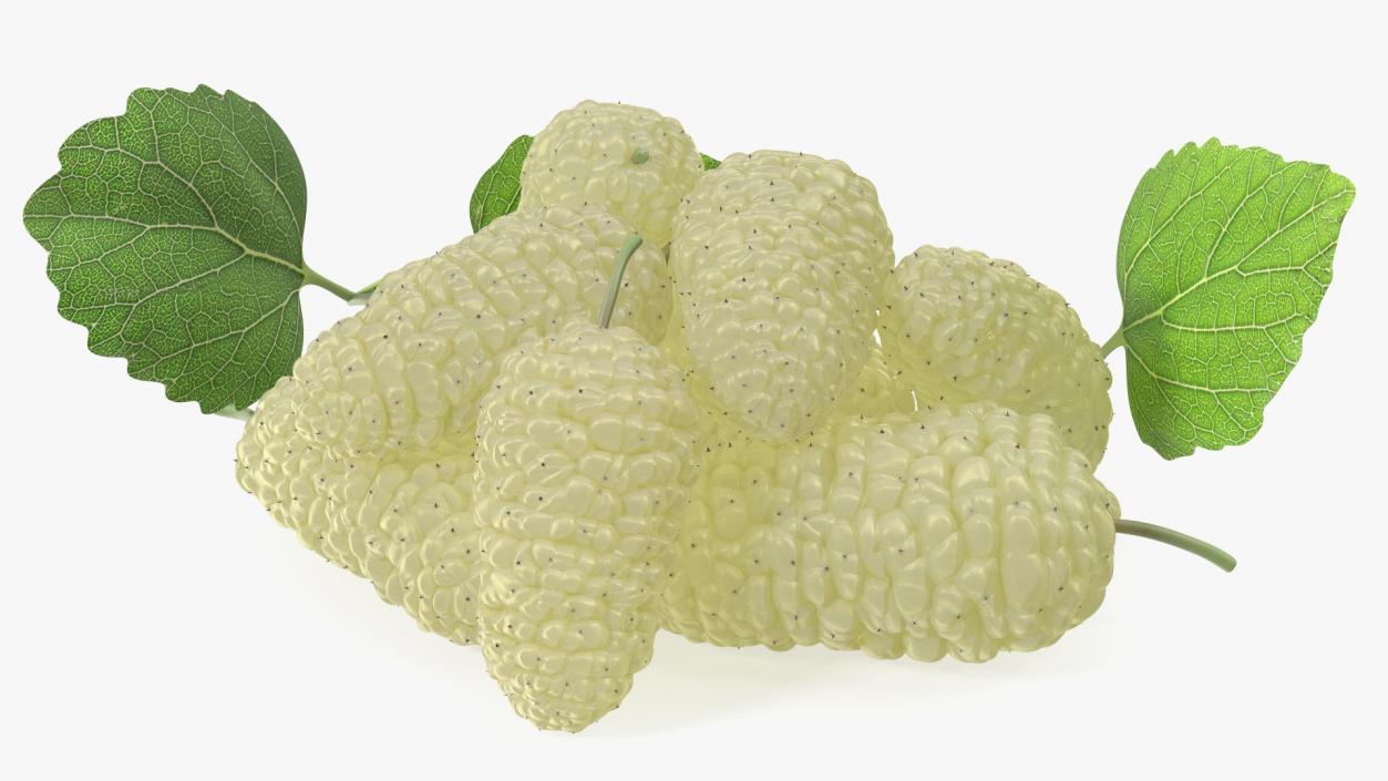 3D model Pile of Mulberry Fruit White 2