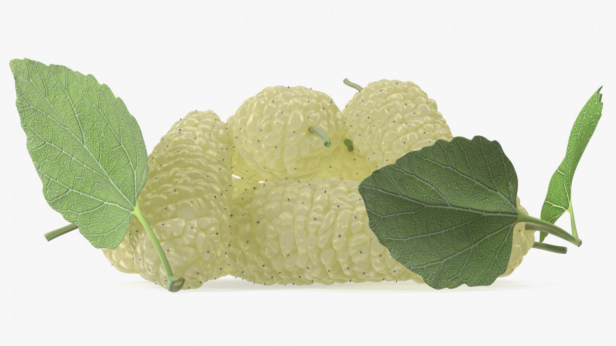 3D model Pile of Mulberry Fruit White 2