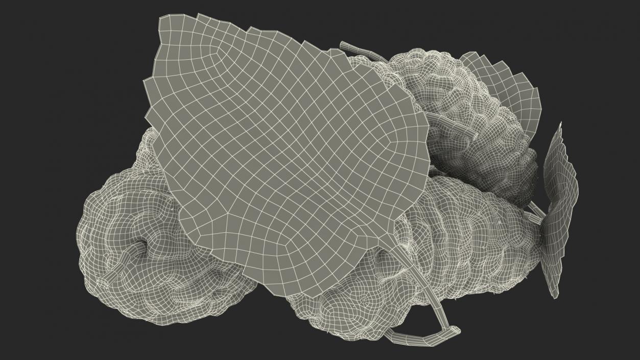 3D model Pile of Mulberry Fruit White 2