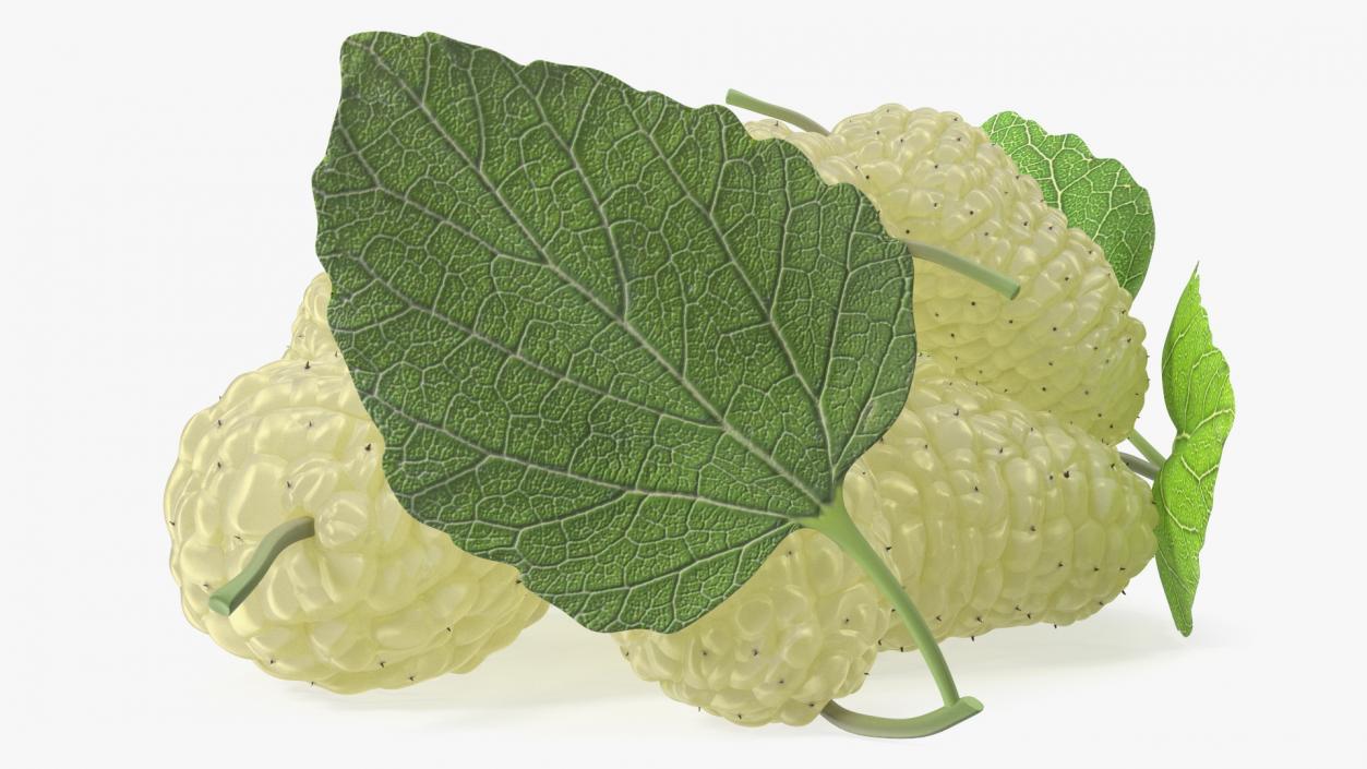 3D model Pile of Mulberry Fruit White 2