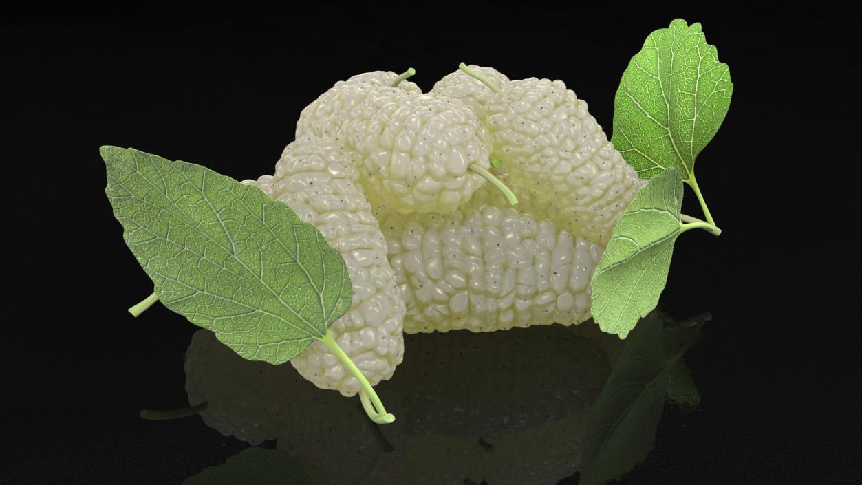 3D model Pile of Mulberry Fruit White 2