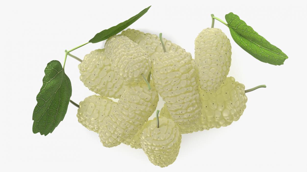 3D model Pile of Mulberry Fruit White 2