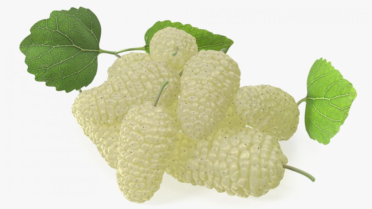 3D model Pile of Mulberry Fruit White 2