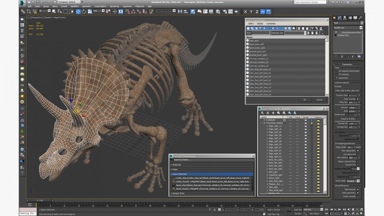 Triceratops Skeleton Fossil 3D