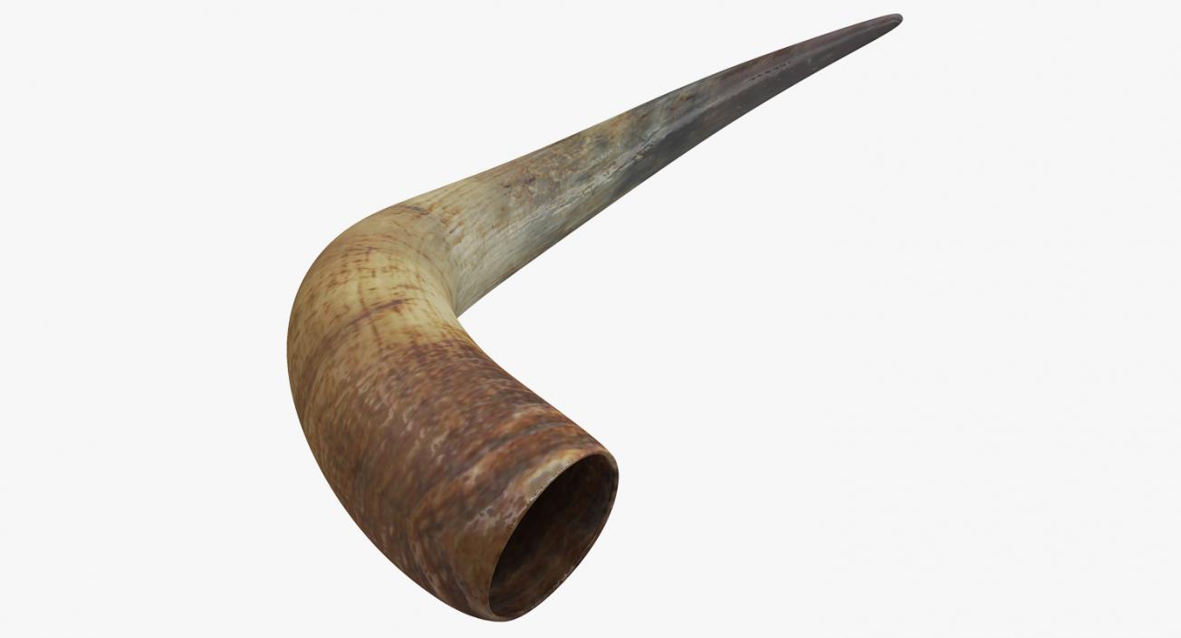 3D model Bulls Horn