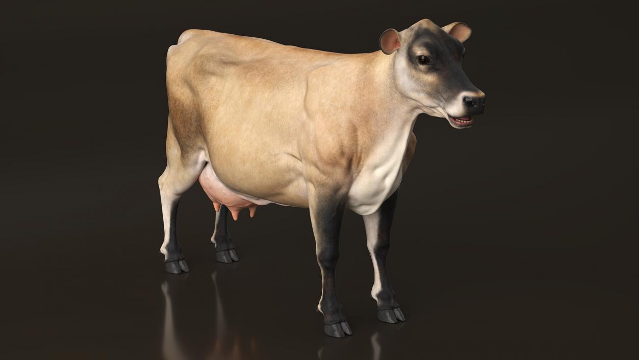 3D Cream Cow Rigged