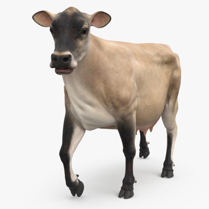 3D Cream Cow Rigged