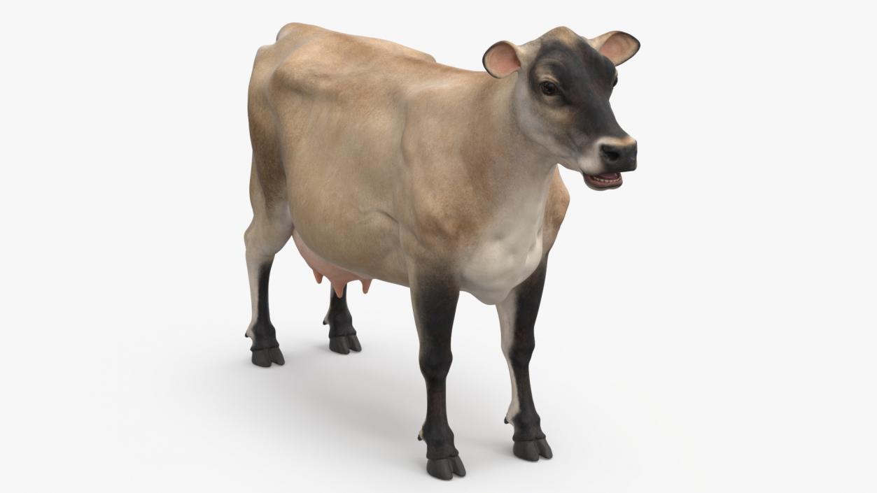 3D Cream Cow Rigged