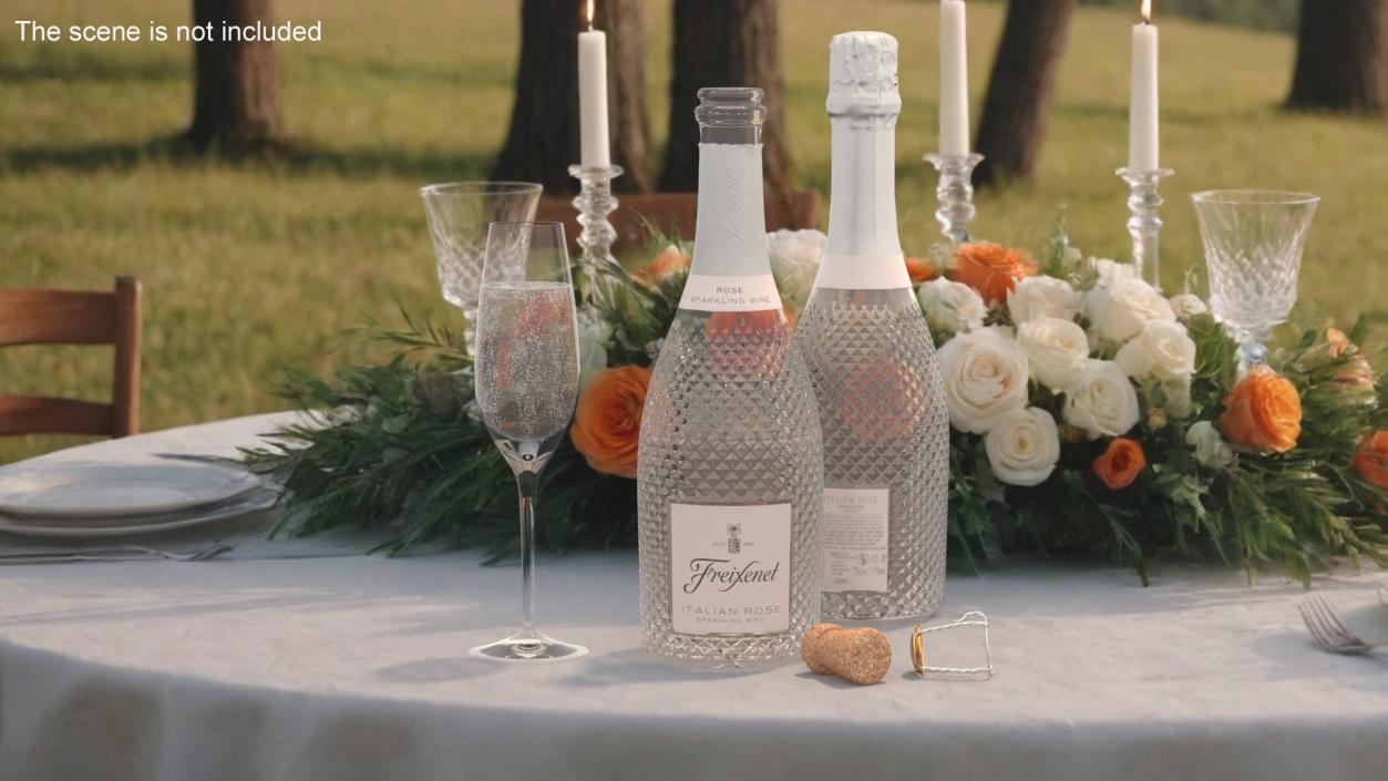 Freixenet Italian Rose Sparkling Wine and Glass 3D