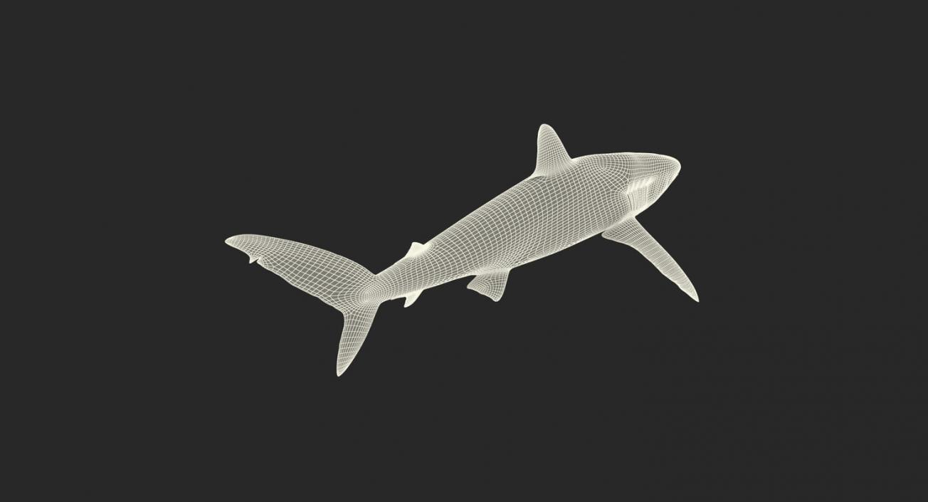 3D Rigged Sharks Collection 3