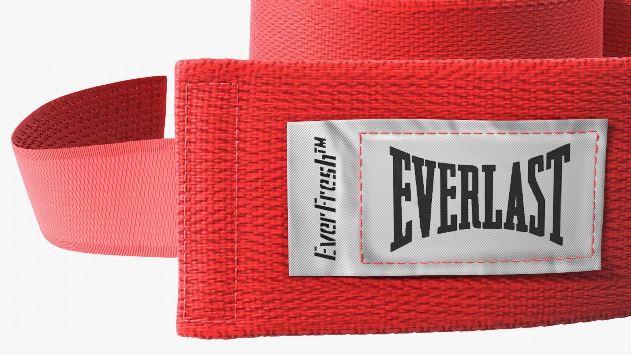 Everlast Boxing Hand Wrap Fur 3D model