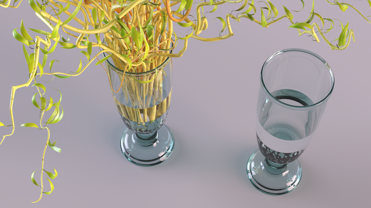 3D Curly Willow Branches with Leafs in Glass Vase