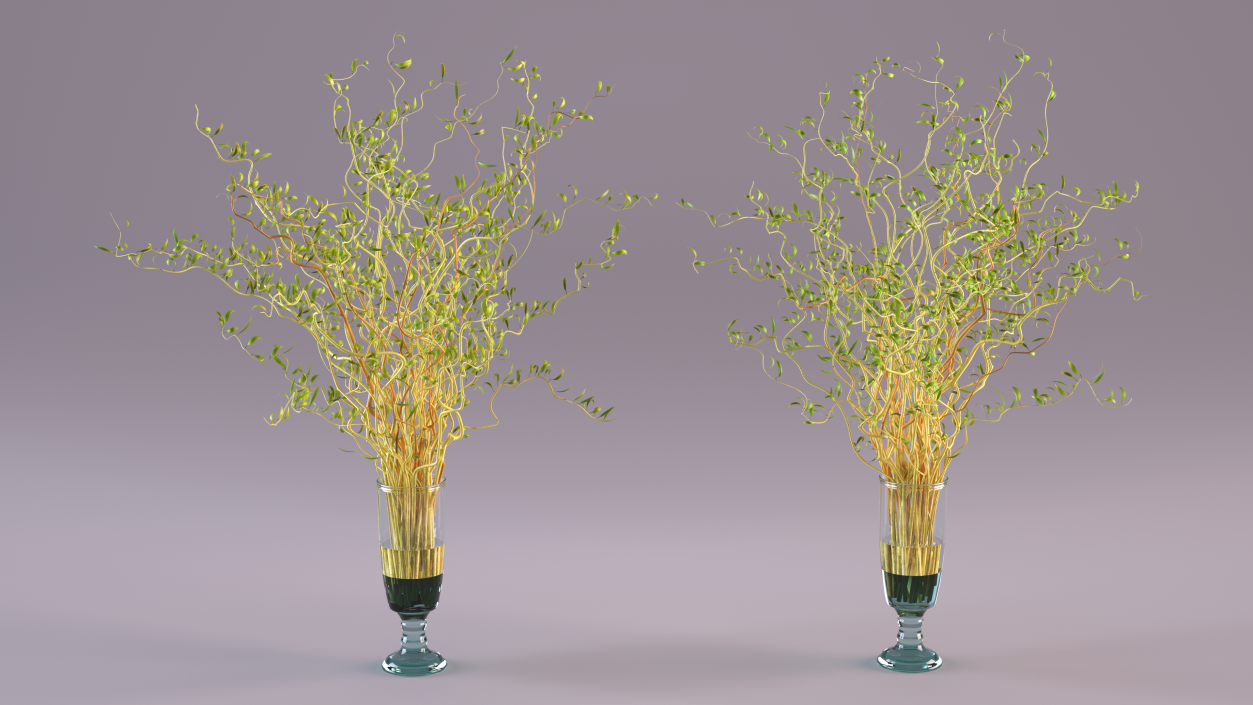 3D Curly Willow Branches with Leafs in Glass Vase