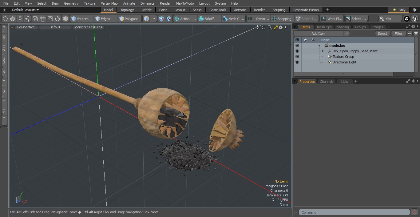 3D model Dry Open Poppy Seed Plant