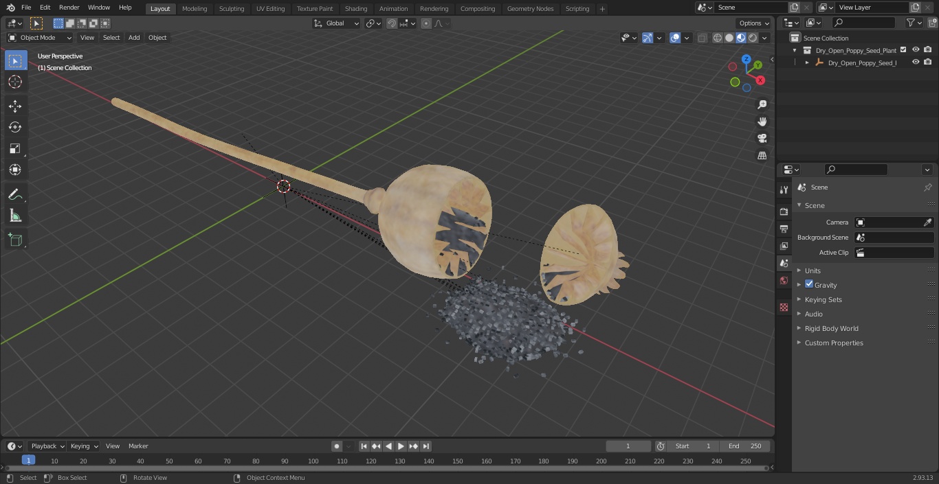 3D model Dry Open Poppy Seed Plant