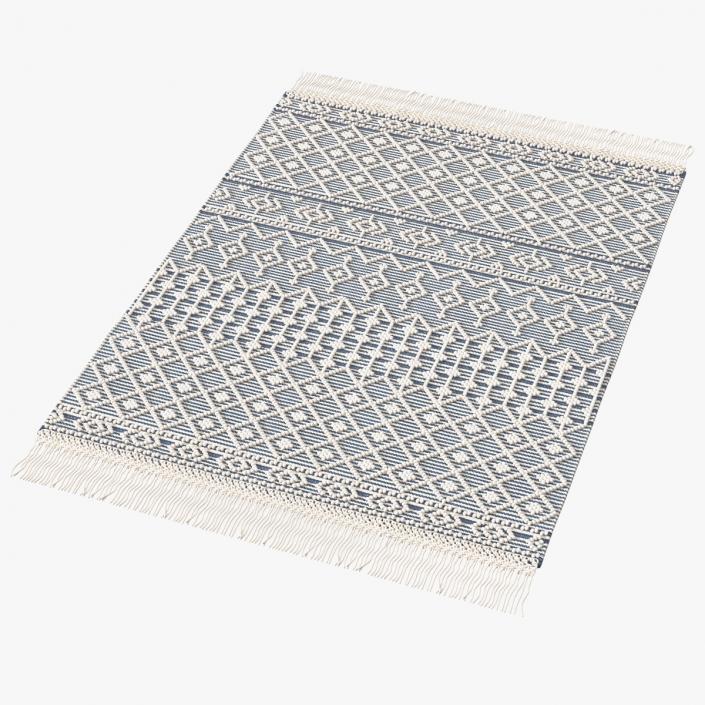 3D model Modern Wool Rug Blue