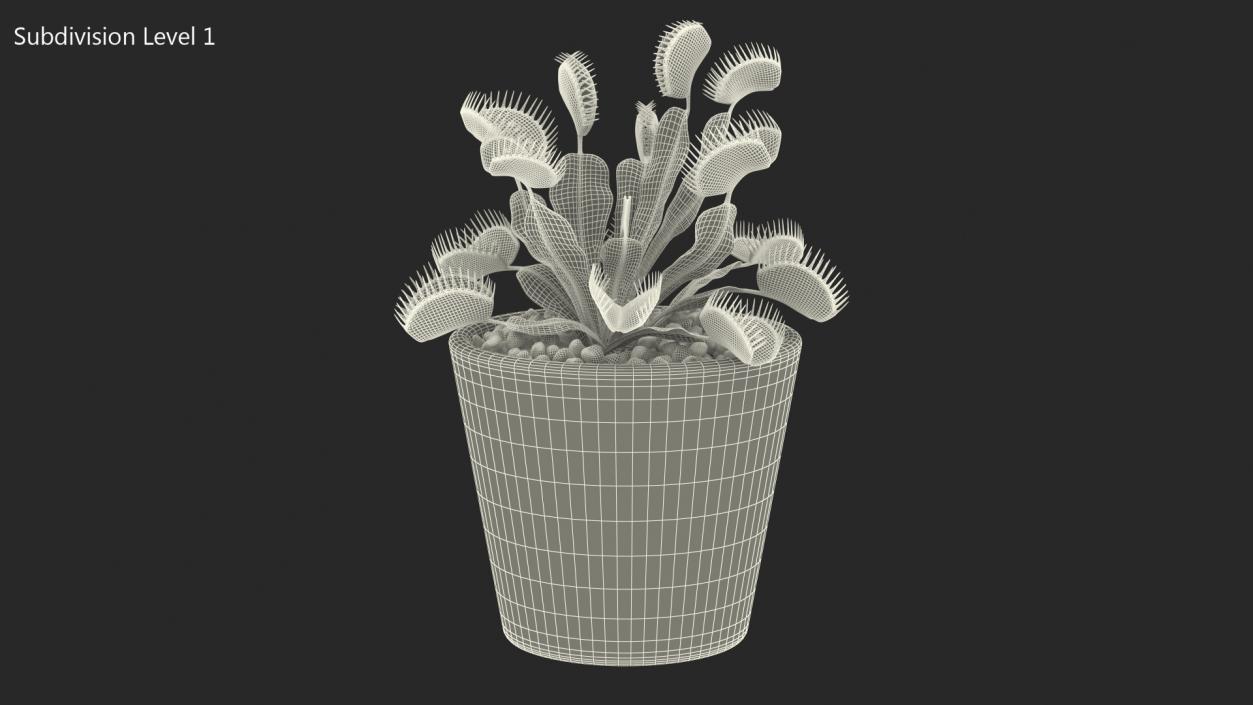 3D Venus Flytrap in Plant Pot