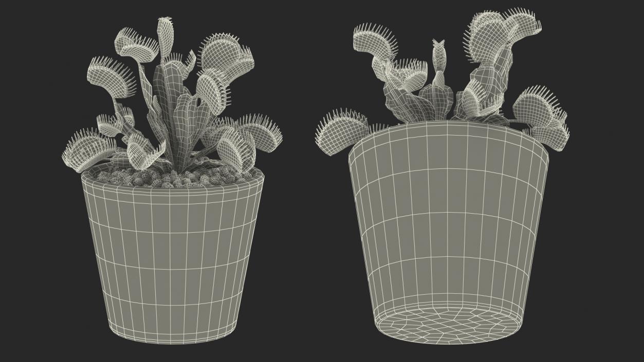 3D Venus Flytrap in Plant Pot