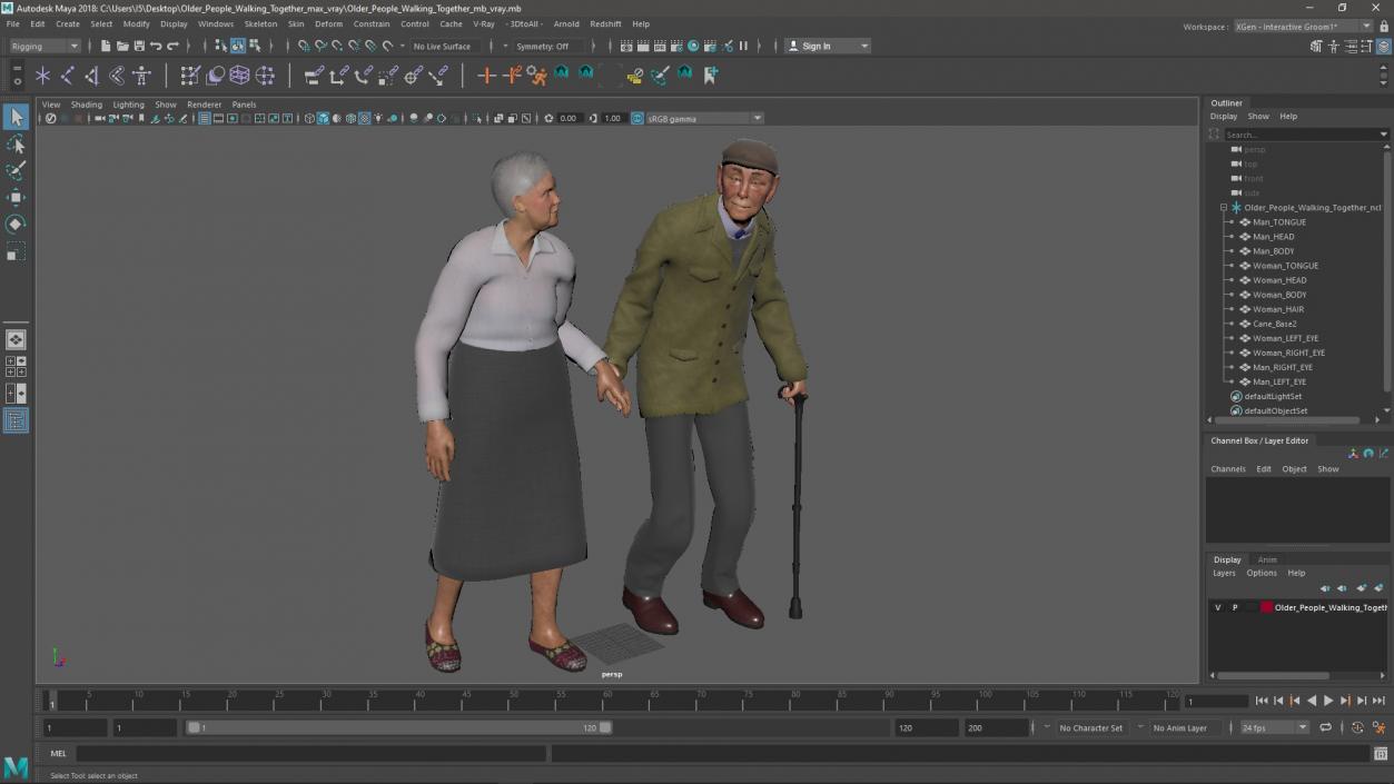 Older People Walking Together 3D model