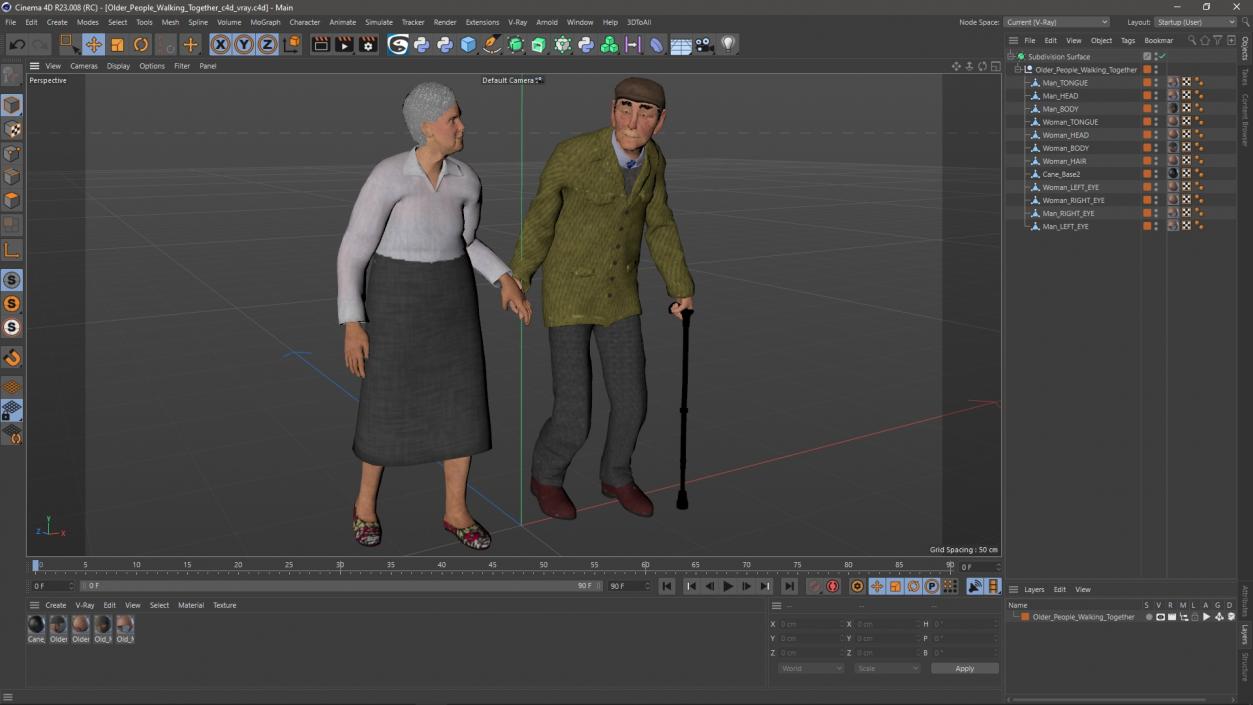 Older People Walking Together 3D model