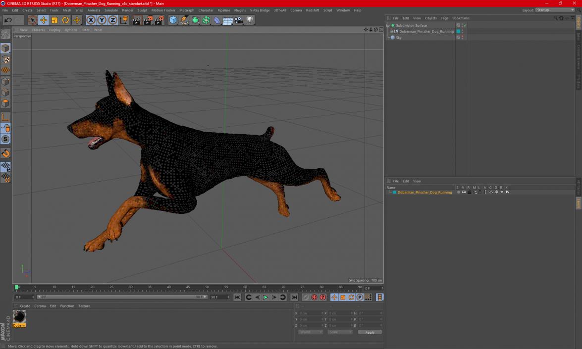 Doberman Pinscher Dog Running 3D model