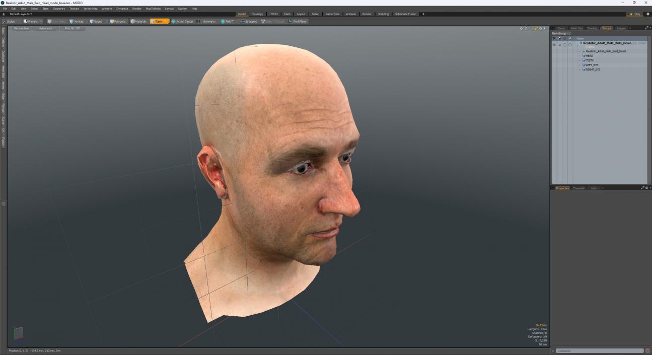 3D model Realistic Adult Male Bald Head