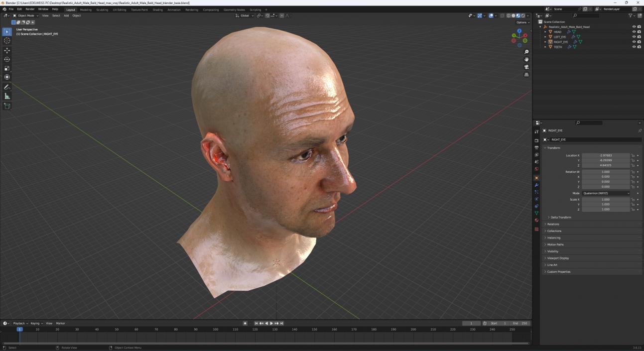 3D model Realistic Adult Male Bald Head