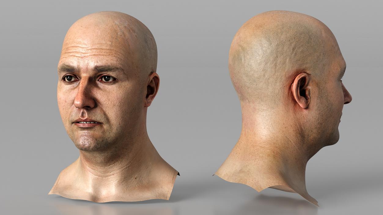 3D model Realistic Adult Male Bald Head