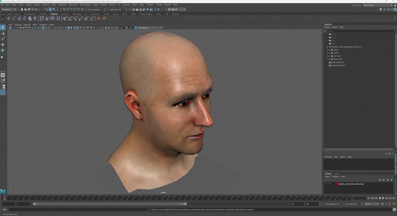 3D model Realistic Adult Male Bald Head