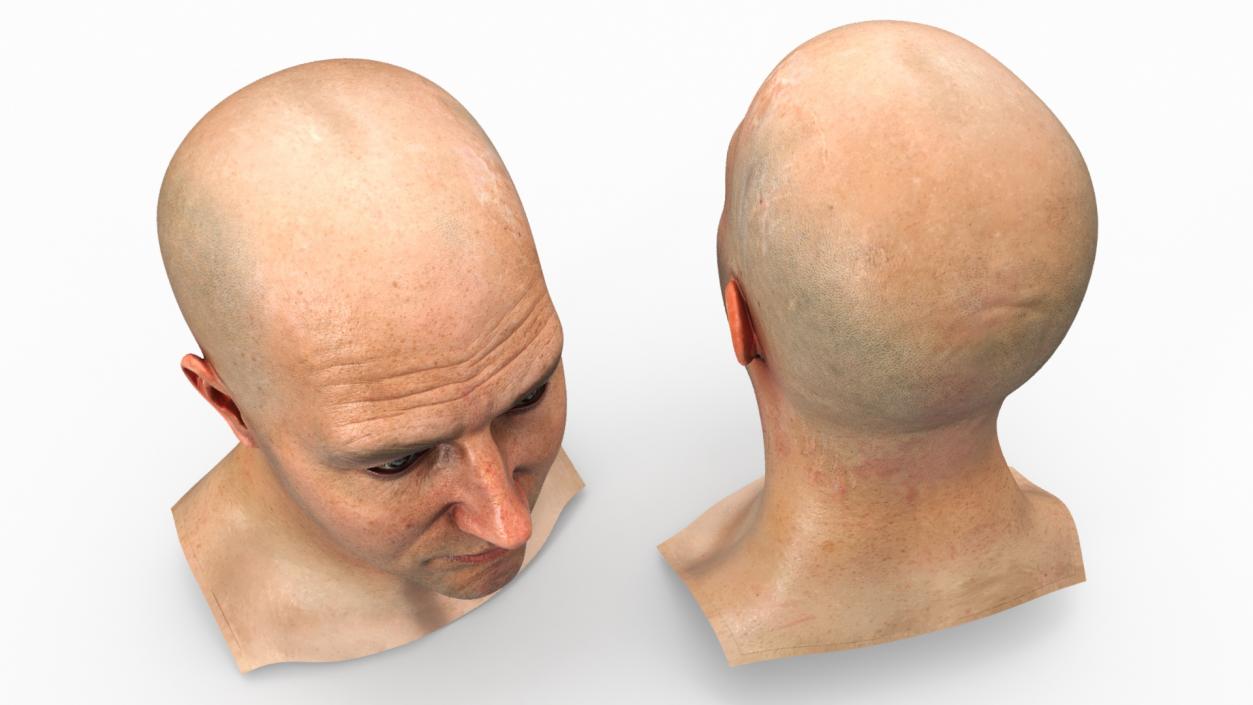 3D model Realistic Adult Male Bald Head