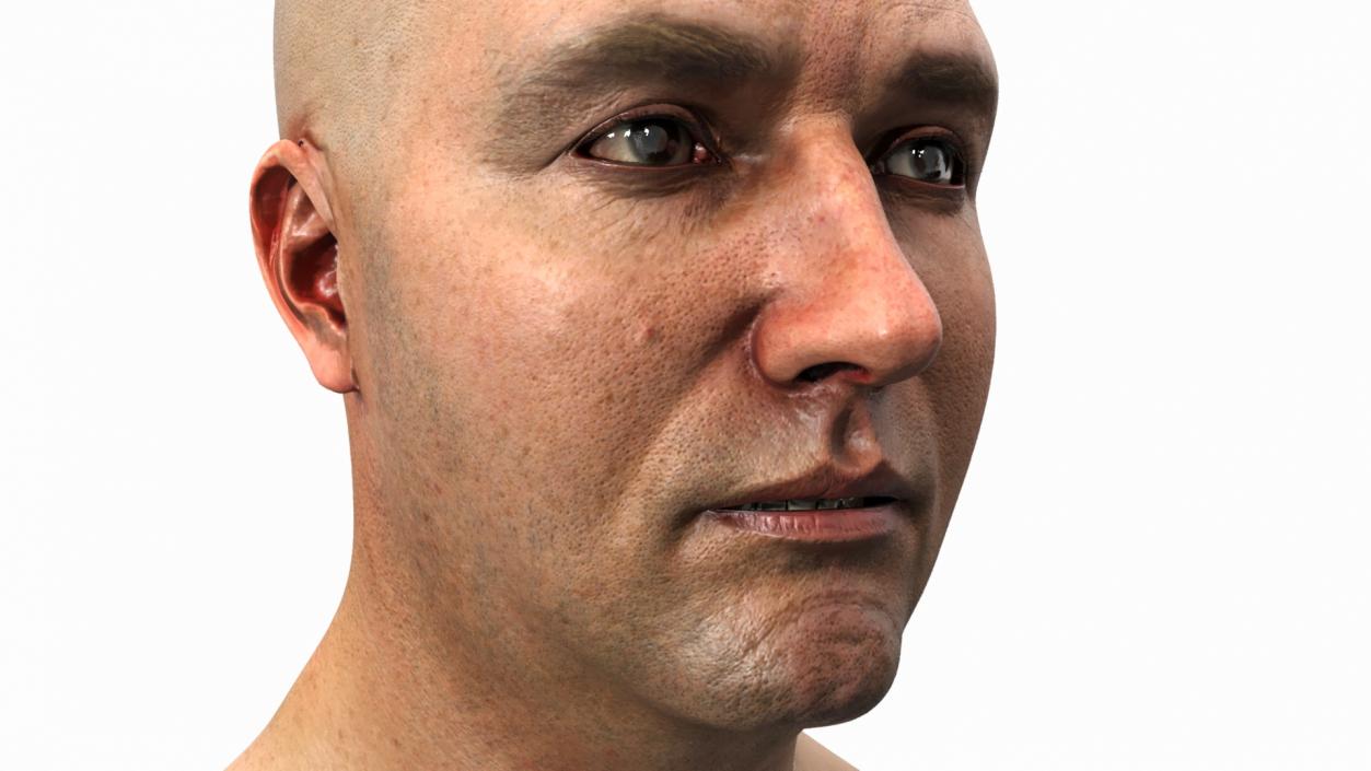 3D model Realistic Adult Male Bald Head