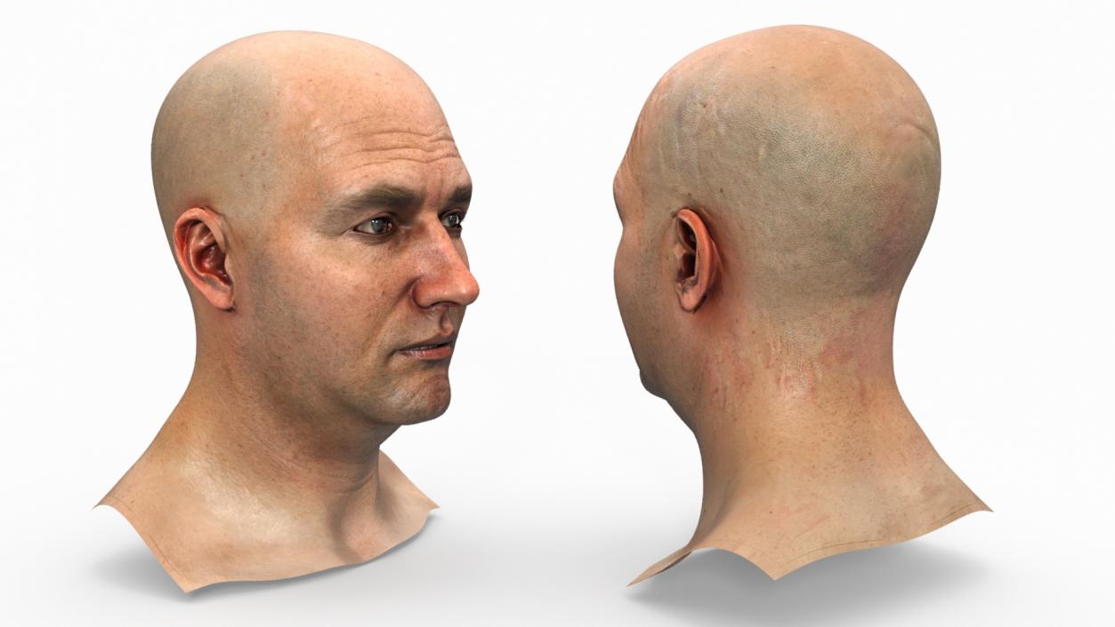 3D model Realistic Adult Male Bald Head