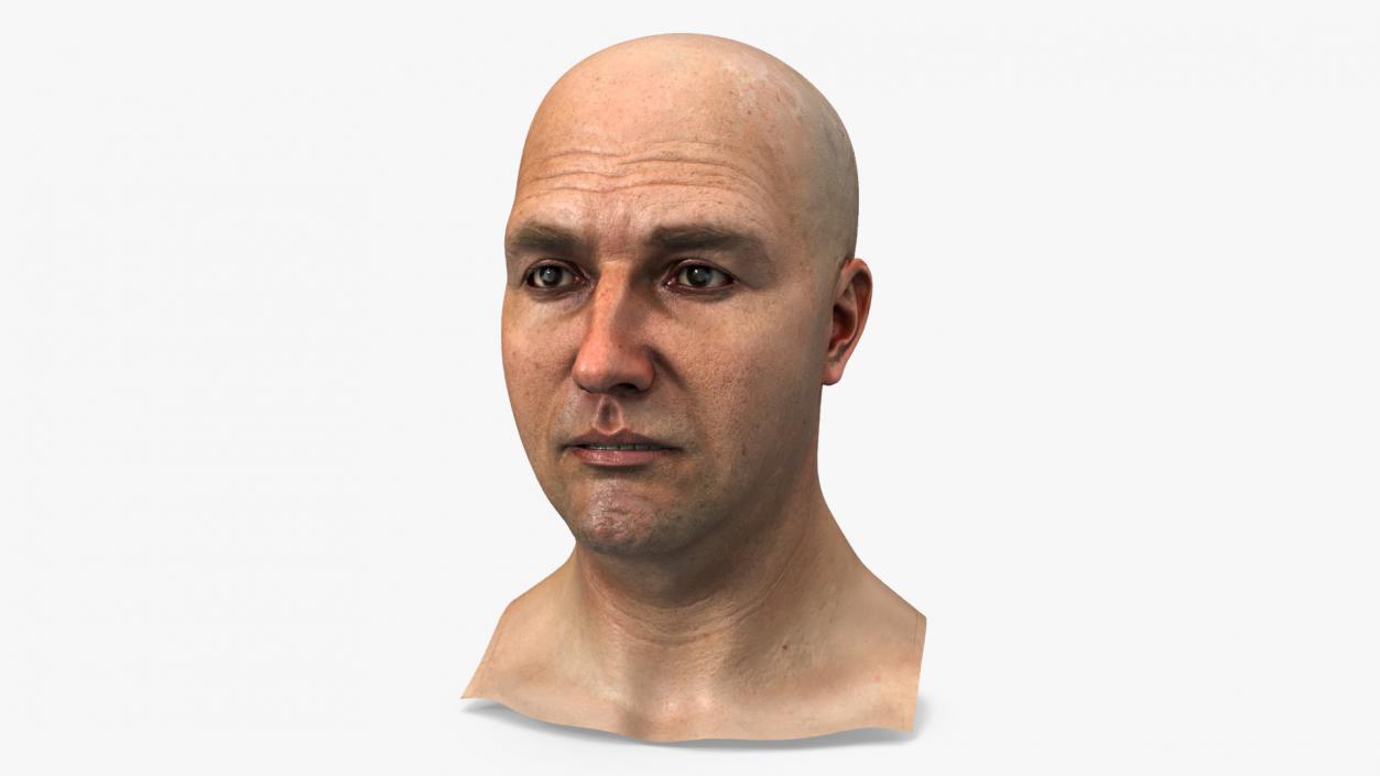 3D model Realistic Adult Male Bald Head