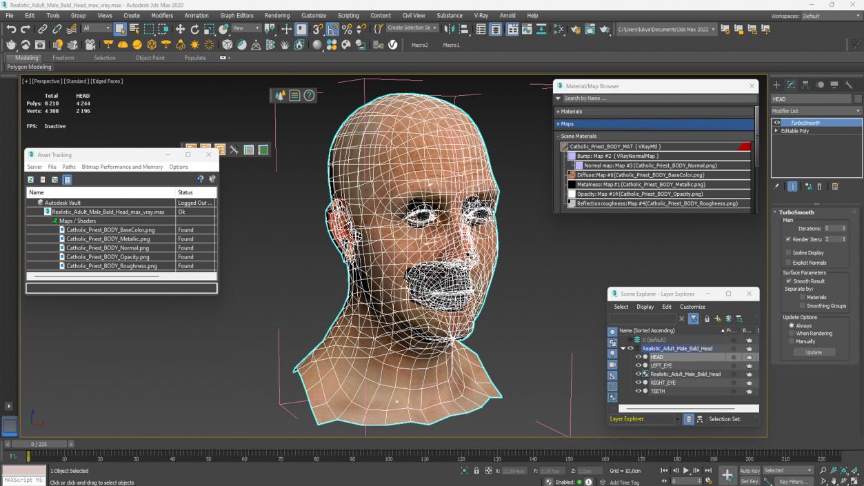 3D model Realistic Adult Male Bald Head