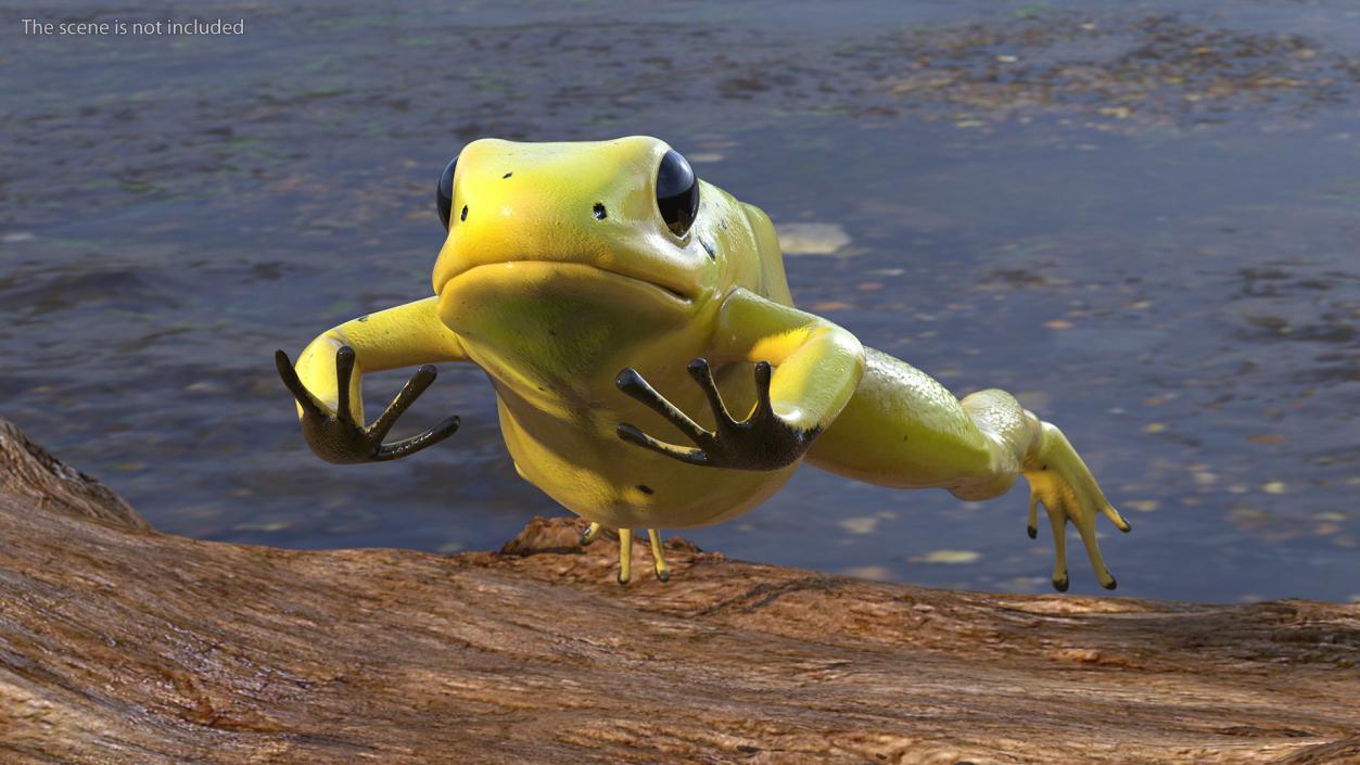 Phyllobates Terribilis Yellow Jumping Pose 3D