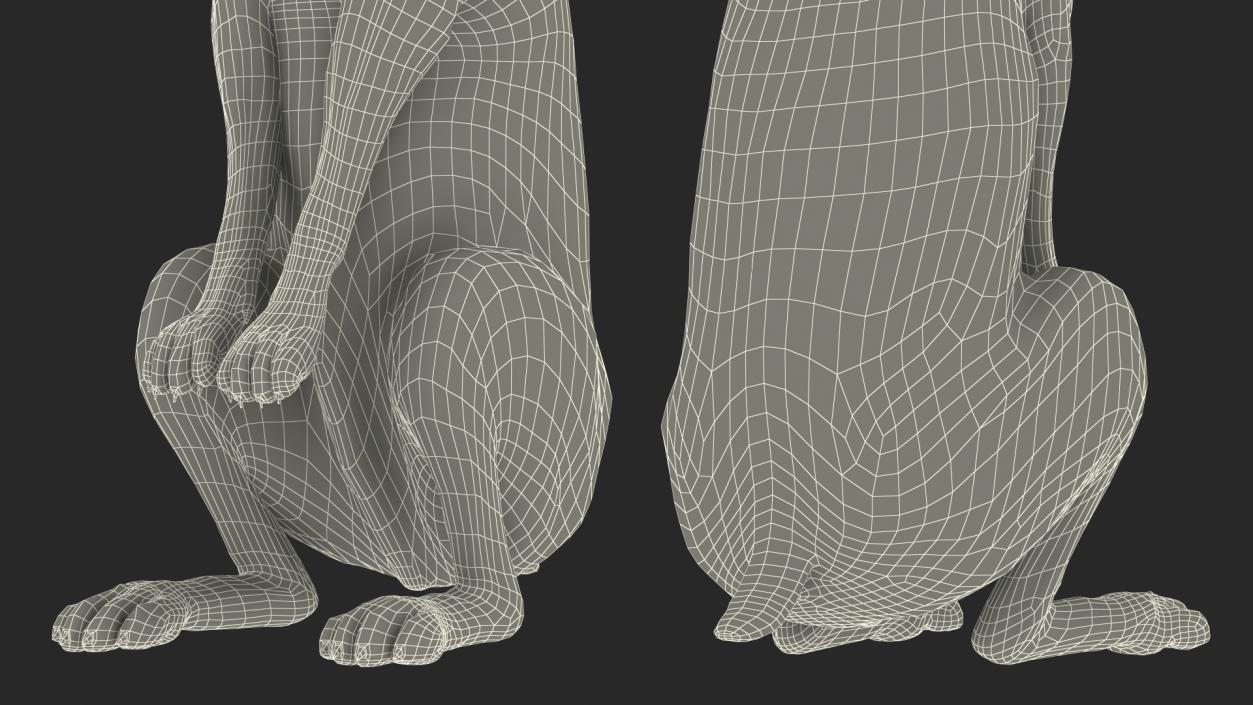 3D Hare Standing Pose model