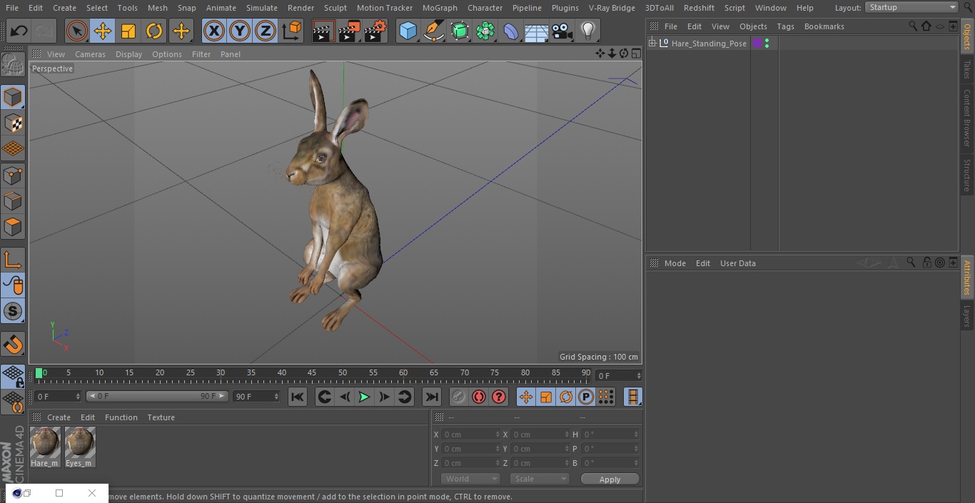 3D Hare Standing Pose model