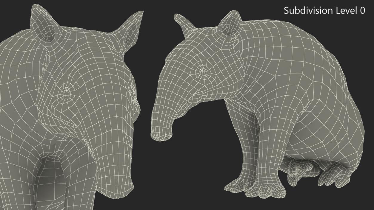 3D Tapir Sitting Pose model