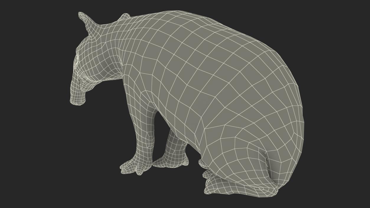 3D Tapir Sitting Pose model