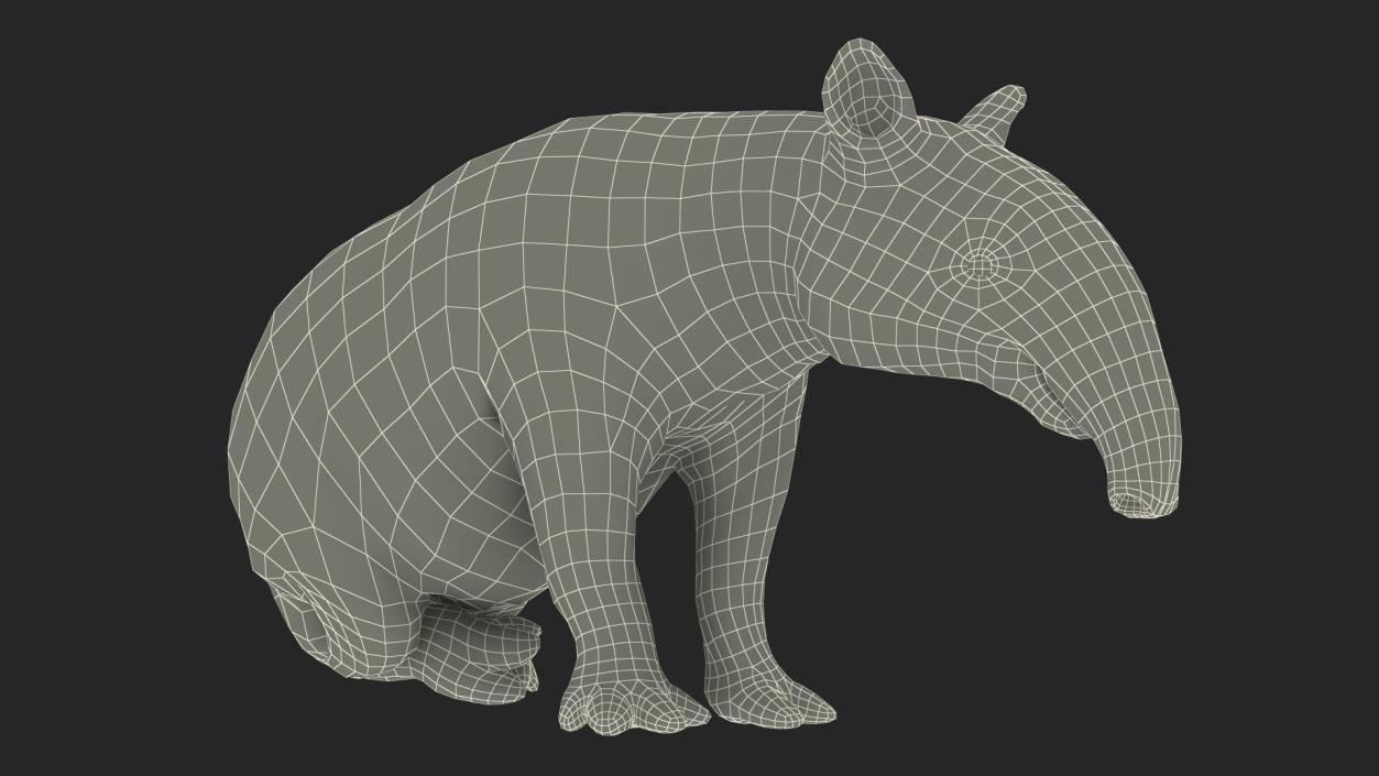 3D Tapir Sitting Pose model