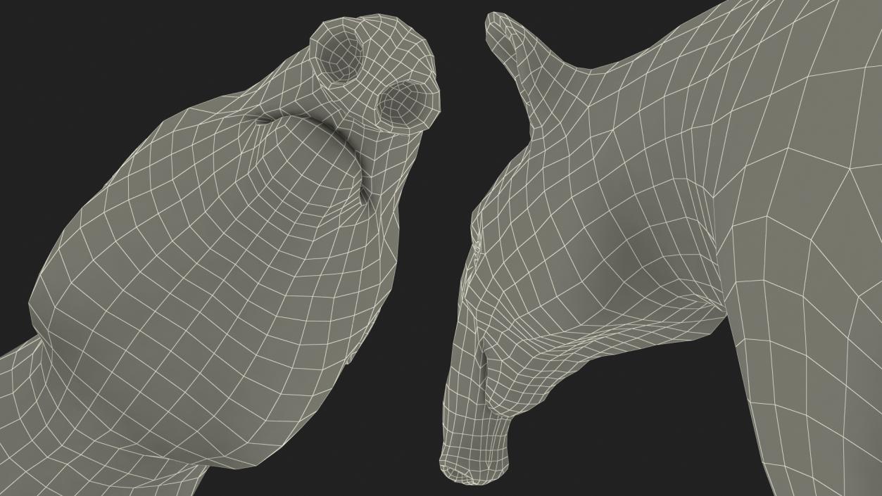 3D Tapir Sitting Pose model