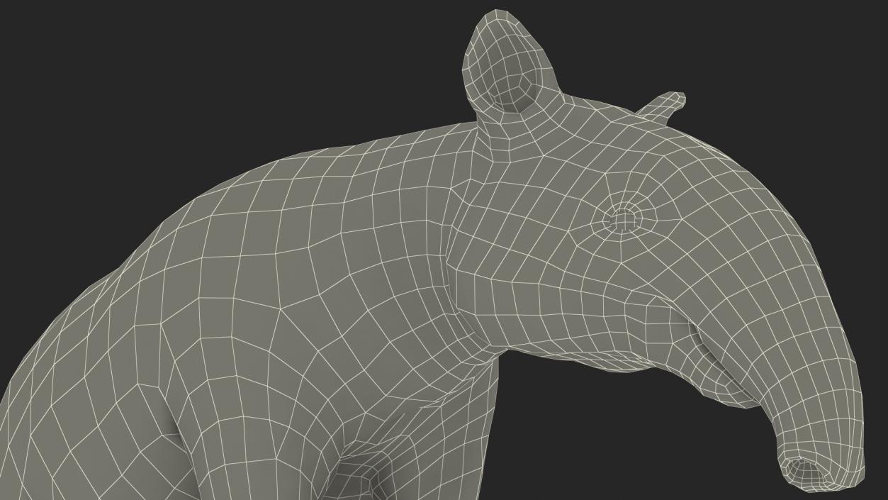 3D Tapir Sitting Pose model