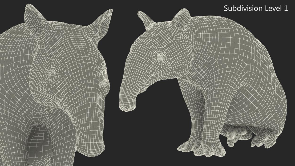 3D Tapir Sitting Pose model