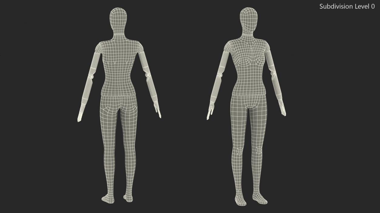 Flexible Female Mannequin Rigged 3D