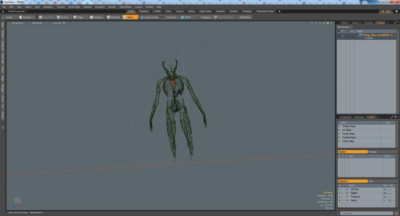 3D Young Boy Lymphatic System